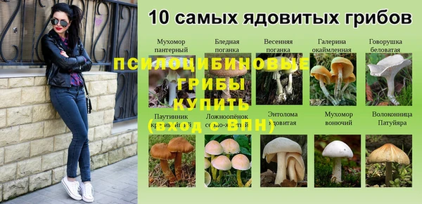 spice Заволжье